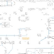 Metabolic Pathways