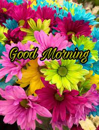 So, download plenty of good morning wallpaper of your choice and that too in hd quality. Good Morning Images With Flowers Hd New Good Morning Flowers 784x1024 Download Hd Wallpaper Wallpapertip