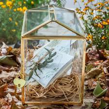 Guaranteed gold hits 1:1, loaded boxes 1:20, june elite hits 1:100. Large Geometric Glass Card Box Terrarium With Slot And Heart Lock Foot Gold Handmade Brass For Wedding Receiption Wishwell Keepsake Centerpiece Ncypgarden