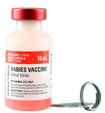 It is also important to know that many states require the euthanasia of unvaccinated animals exposed to potentially rabid animals. Nobivac 3 Rabies Vaccine Jeffers Pet