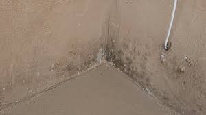 Here is a brief strike force termite and pest control review to help you make a better decision Deanza Termite Pest Control 25050 Adams Ave Murrieta Ca Pest Control Mapquest