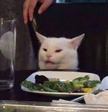 Pin By Mercy Keeps Me Healed On Funny Memes White Cat Meme Cats Cat Aesthetic