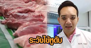 โรคหูดับ โรคติดเชื้อสเตรฟโตคอกคัส ซูอิส (streptococcus suis) โรคสเตรปโตคอคคัส ซูอิส เป็นโรคที่เกิดในสุกร เกิดจากเชื้อแบคทีเรีย ที่ปกติ D1xv4s9daisgwm