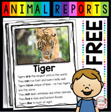 This is such a fun way to introduce informational writing to your students.this download has everything you need. Free Zoo Animals Research Report Tiger Reports Nonfiction Read And Writing