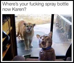 Cat drinking from a spray water bottle. Cat Meme Cat Quotes Funny Funny Animal Pictures Funny Animals