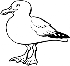 Be sunsmart with sid seagull. Seagull Coloring Pages Google Search Bird Coloring Pages Beach Coloring Pages Free Coloring Pages