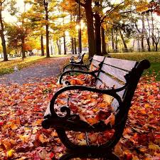 Fall Ipad Wallpapers Top Free Fall Ipad Backgrounds Wallpaperaccess