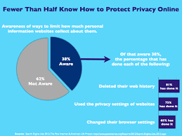 Fewer Than Half Know How To Protect Privacy Online While There Are People Out There That Are College Essay Examples Internet History Communications Strategy
