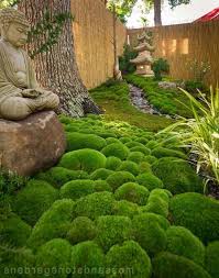 Moss For Sale 4 79 Per Square Foot Japanesegardentheme Small Japanese Garden Japanese Garden Design Zen Garden Design