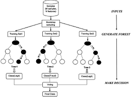 This type of fraud is difficult to detect because many people don't check their credit card statements thoroughly — and because victims typically have no. Enhanced Credit Card Fraud Detection Based On Svm Recursive Feature Elimination And Hyper Parameters Optimization Sciencedirect