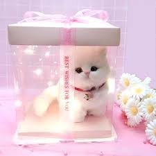 The right gift for your girlfriend may not be a physical object at all. Birthday Gift Girlfriend Girlfriend Boyfriend Girl Child Simulation Cat Creative Valentine S Day Graduation Gift Shopee Thailand
