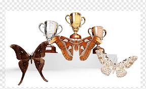 We did not find results for: Attacus Atlas Png Images Pngwing