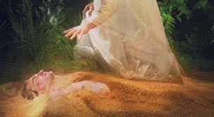 THE BIBLE PERSPECTIVE OF CREATION OF MAN — Steemit