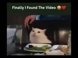 Woman Yelling At A Cat Meme Youtube Crying woman white cat meme meme creation.