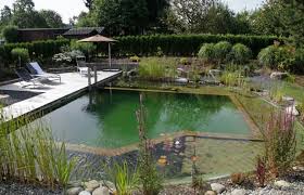 How To Build An Organic Natural Pool Natural Pool Natural Swimming Pools Natural Swimming Ponds