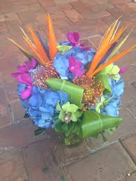 Bird Of Paradise Bouquet Care Blue Hydrangea Birds Of Paradise Orchids Bouquet By Love In Bloom Florist Key West In Bloom Florist Orchid Bouquet Beautiful Bouquet