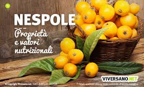 Ottieni un risarcimento grazie al nostro team di esperti. Nespole Proprieta E Benefici Consigli D Uso E Controindicazioni