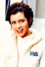 Princess Leia Princesse Leia Leila Star Wars Costume Leia