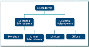 What Is Scleroderma Scleroderma Foundation