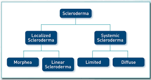 what is scleroderma scleroderma foundation