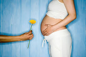 Conceiving Baby Boy Through Diet Plan Plan My Baby Blog