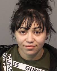 Washoe County Sheriff's Office Detectives arrest two for recent residential  burglaries