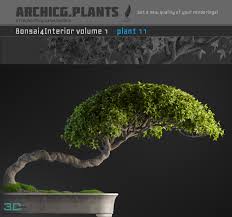 40 Bonsai Tree Model 3dmili 2021 Download 3d Model Free 3d Models 3d Model Download 3dmili 2021 Download 3d Model Free 3d Models 3d Model Download