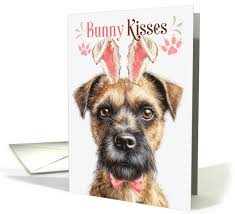Easter Bunny Kisses Border Terrier Dog in Bunny Ears (1801184)