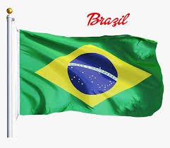 Brazil Flag Png Transparent Image Flag Brazil Png Download Kindpng