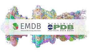 The worldwide protein data bank, wwpdb, is an organization that maintains the archive of macromolecular structure. Wwpdb 2021 News