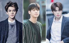 Cũng chính thức bước sang tuổi 30. Exo Visual Exo 2020