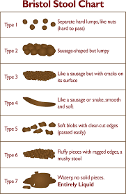 Excessive frequency and looseness of bowel movements | meaning, pronunciation, translations and diarrhea. Diarrhoea Constipation Crohn S Colitis Uk