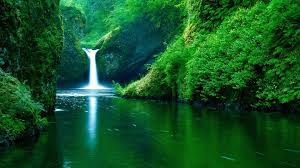 We did not find results for: Wallpapers 1920x1080 Nature Wallpaper Cave