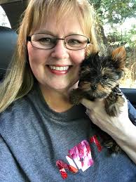 Sharing yorkie gotcha days and details