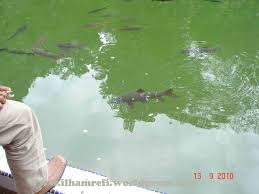 Cek artikel ini dan dapatkan juga ulasan menariknya! Rekreasi Ke Sungai Janiah Rekreasi Dan Wisata Sumatera Barat