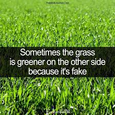 The Grass Is Not Always Greener On The Other Side Quotes Sometimes The Grass Is Greener On The Other Side Green Quotes Fake Quotes People Quotes