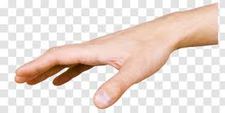 Download hand reaching out stock photos. Drawing Royalty Free Model Sheet Royaltyfree Hands Reaching Out Transparent Png