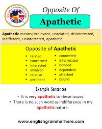 Impassive, unresponsive, nonchalant, dispassionate, unfeeling, unconcerned, indifferent, lifeless. Opposite Of Apathetic Antonyms Of Apathetic Meaning And Example Sentences English Grammar Here