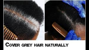 How To Cover New White Or Grey Hair Growth Into Black Naturally With No Grey Hair Growth Natural Hair Styles Cover Gray Hair Naturally