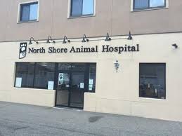 Welcome to north shore ent. North Shore Animal Hospital 42 02 215th Street Bayside Reviews And Appointments Topvet