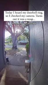 Bee Ringing Doorbell Compilation