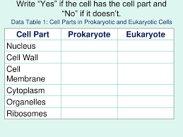 Ppt Prokaryotic Versus Eukaryotic Cells Powerpoint