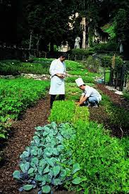 Pin By Thenjiwe On Kitchen Gardens For Urbanites School Garden Kitchen Garden Planting Flowers