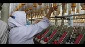 Maybe you would like to learn more about one of these? Keluarga Mtc Youtube