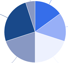 custom color series for pie chart user interface