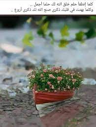 pin by mimi on ك م islamic pictures cute photography beautiful wallpapers