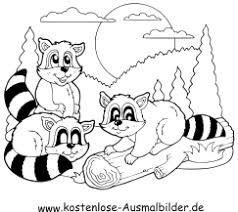 Ausmalbild Waschbaren Zum Ausdrucken
