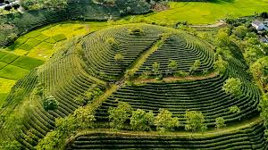 Dàn xe ghép Yên Sơn Hà Nội chất lượng cao