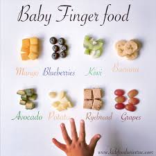 Our First Finger Foods Baby Food Recipes Baby Finger Foods Baby Food Nutrition