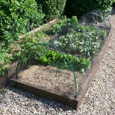 A large range of garden plant stakes, elegant metal plant supports and frames for supporting peas, beans, climbing plants, bushes and flowers. Garden Hoops Tunnels Cloches At Gardening Naturally